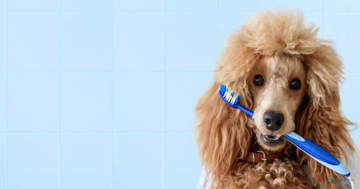 Saúde bucal do seu pet: por que mau hálito no cachorro pode matar — e como escová-los corretamente
